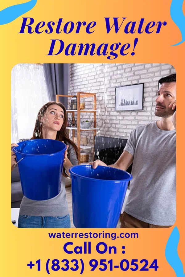 water restoration Silver Water Damage Partners West Wildwood