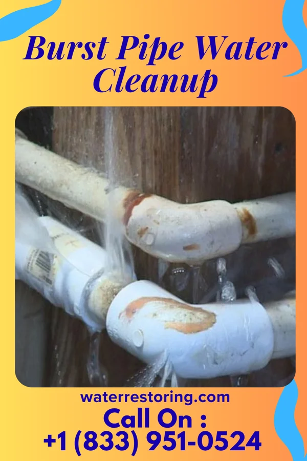 Burst Pipe Water Cleanup in West Wildwood, NJ