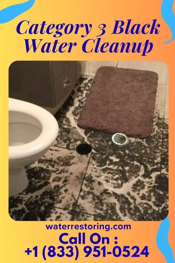 Category 3 Black Water Cleanup in West Wildwood, NJ