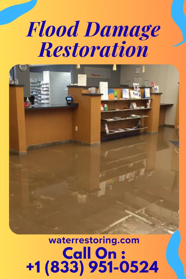 Flood Damage Restoration in West Wildwood, NJ