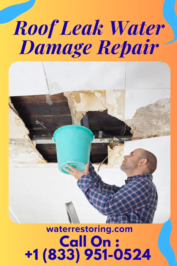 Roof Leak Water Damage Repair in West Wildwood, NJ