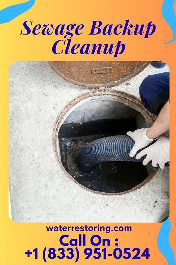 Sewage Backup Cleanup in West Wildwood, NJ