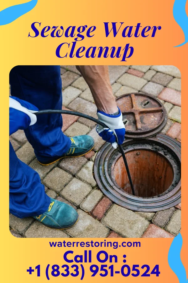 Sewage Water Cleanup in West Wildwood, NJ