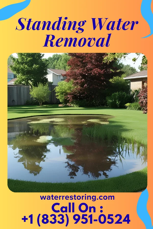 Standing Water Removal in West Wildwood, NJ